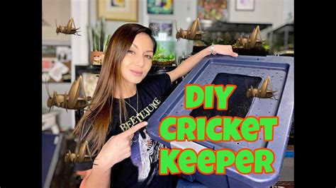 These should be kept available in advance (just in case they're needed) by all cham keepers. DIY Cricket keeper **** Reptile food - YouTube