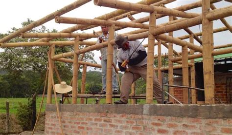 Properties Of Bamboo As A Structural Member In Construction Structville