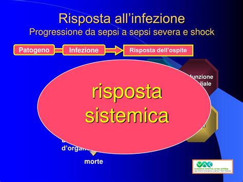 Sepsis is a serious medical condition. PPT - Fisiopatologia della sepsi dall'infiammazione al ...