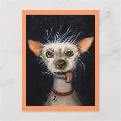 Winner Of The Ugly Dog Contest 2011 Postcard Zazzle