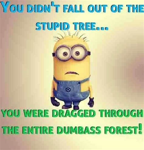 Pin By Rosie Sherrow On Oliver Minions Funny Funny Minion Quotes Funny Minion Memes