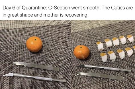 It will be published if it complies with the content rules and our moderators approve it. 10 Coronavirus Isolation Memes to Make You Laugh | MILLE