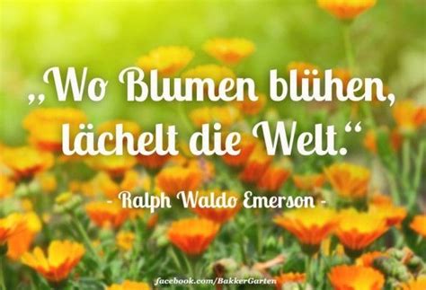 Sammlung von brigitte dirr • zuletzt aktualisiert: Blumen - Spruch des Tages #blumen #des #spruch #tages ...