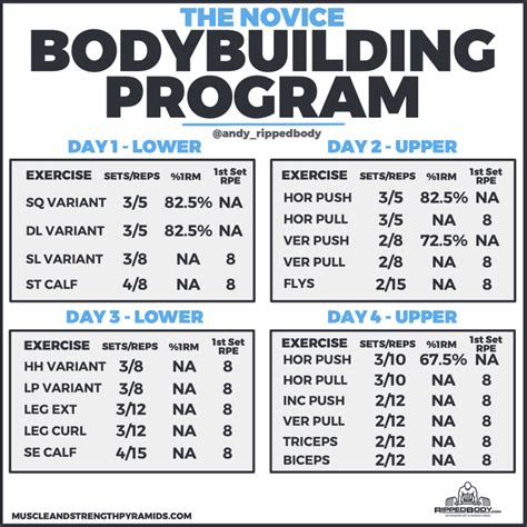 Check spelling or type a new query. Beginner Bodybuilding Program Spreadsheet by Ripped Body ...