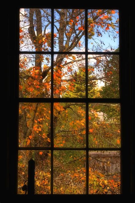 Autumns Palette By Joann Vitali Autumn Scenes Window View Autumn