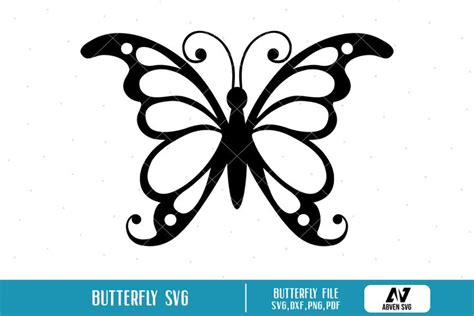 Butterfly Svg Butterfly Clip Art Butterfly Graphics Etsy