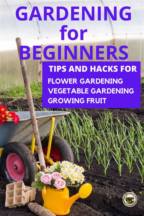 Learn How To Garden With These Growing Tips For Growing Vegetables