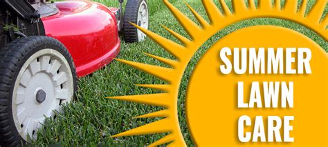 Guide To Summer Lawn Care Acme Tools