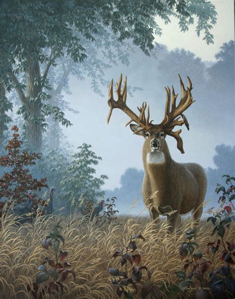 Foggy Morning Whitetail The Lovstuen Buck Deer Artwork Deer
