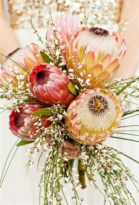 Pin By Mariane Mostert On Protea Protea Wedding Protea Flower