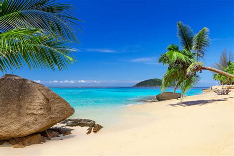 Tropical Beach Pictures | HubPages