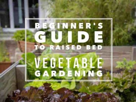Raised Bed Gardening The Ultimate Guide Gardening Channel