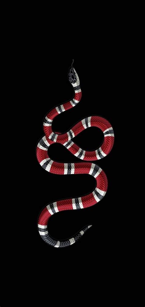Download Gucci Snake Wallpaper By Androiix 96 Free On