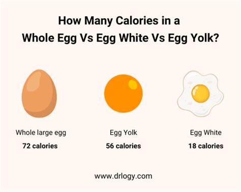 16 How Many Calories In A Extra Large Egg Full Guide 112023