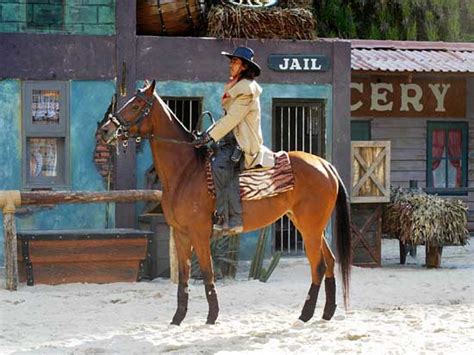 Wild animals & humans make unique combination in creating a chaotic western town amidst bloodshed violence and the aftermath of a fiery battle. Wild Wild West Cowboy show