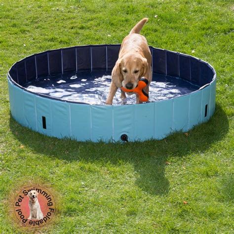 Foldable Dog Pool Kiddie Pool Plastic Swimming Pool Portable Pet
