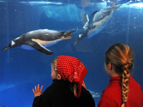 Sea Life Konstanz | www.freizeit-bodensee.com