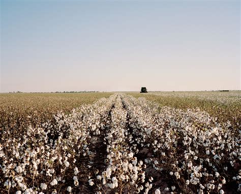 Aerial Photographs Of Cotton Farming In Arizona 6 Fubiz Media