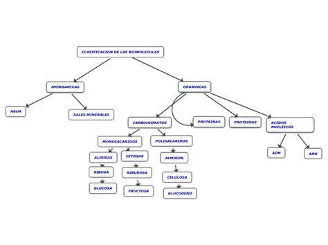 Clasificacion De Las Biomoleculas Mind Map