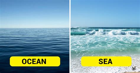 Difference Between Sea And Ocean The 7 Continents Of The World Gambaran
