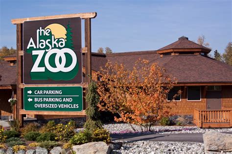 Alaska Zoo Anchorage Attractions And Things To Do Alaskaorg