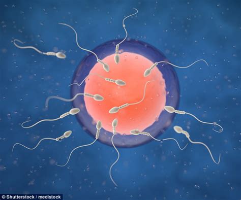 Declining Sperm Counts And Doubling Rates Of Testicular Cancer Could Be A Ticking Time Bomb For