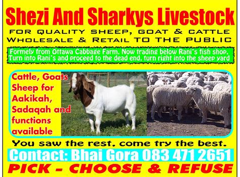 Shezi and sharkys livestock | Verulam