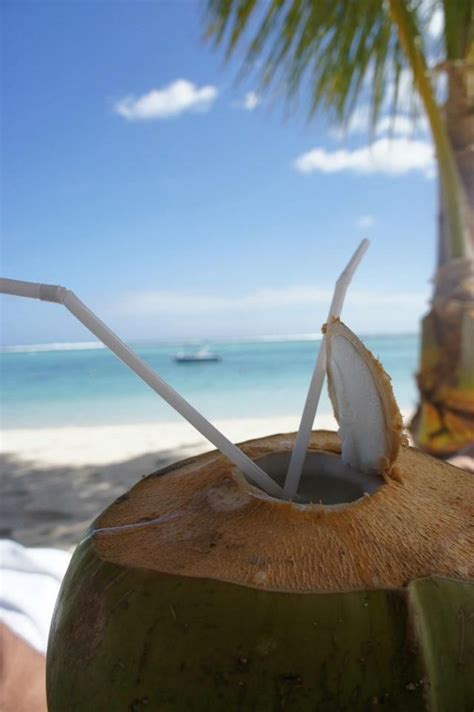 Experience Nature At Its Finest Fresh Coconut Water Batebeach