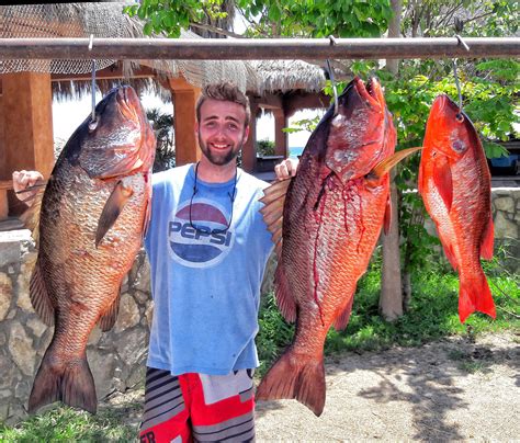 Baja Fishing Report Photo 12 Discover Baja Travel Club