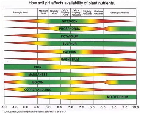 What Is Ph In Soils And Why Should You Care About It Tillin It Like