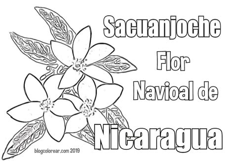 Simbolos Patrios De Nicaragua