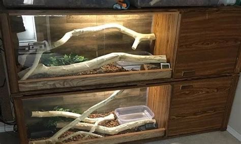 7 Free Diy Reptile Enclosure Plans And Ideas Youll Fall In Love With