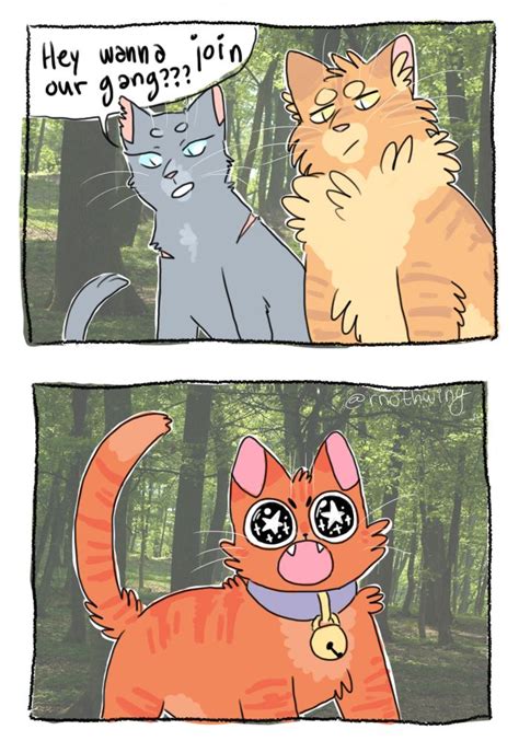 Warrior Cats Comics Funny Cat Vgr