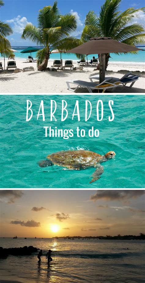 9 picture perfect beaches in barbados artofit