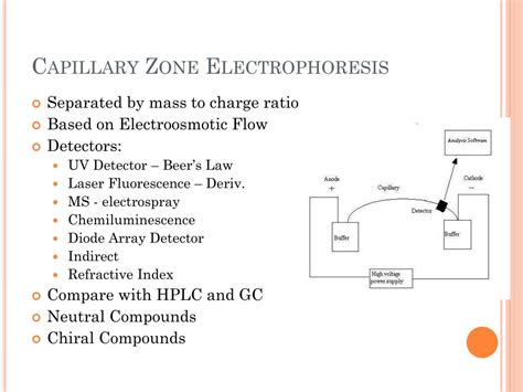 Ppt Capillary Electrophoresis Technique And Application Powerpoint