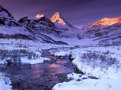 Mount Assiniboine British Columbia Canada Zwz Picture