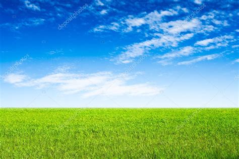 Blue Sky And Green Grass Scene — Stock Photo © Chesterf 3450687