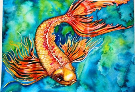 Gold Fish Pez Dorado Pez Dorado Pinturas Dibujos