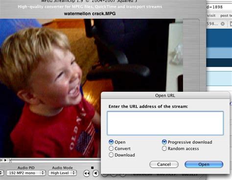 Software To Open Mpeg Files On Mac