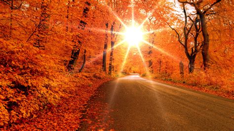 1920x1080 Road Sun Forest Autumn Leaves Rays Trees