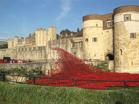 Remembering The Fallen Marking The Ww1 Centenary With Poppies At The