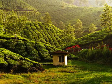 Best Scenic Places To Visit In July In South India Nativeplanet