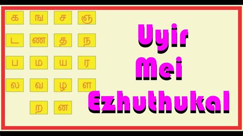 Artık bilgisayarınız üzerinden mei eluthukkal in tamil heyecanına ulaşabilirsiniz. உயிர் மெய் எழுத்துக்கள்/ Uyir Mei Ezhuthukal - YouTube