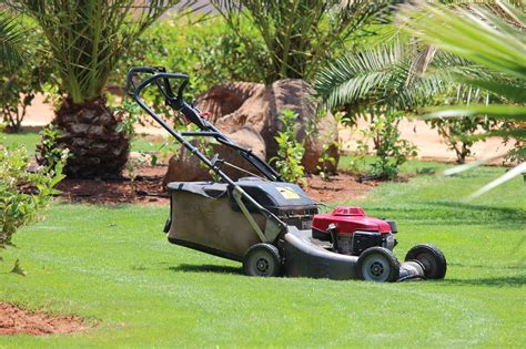 When you need to get your lawnmower fixed, you might want to turn to a competent professional to do the job. Lawen Mower Repair Services Near Me - Checklist & Free Quotes 2020