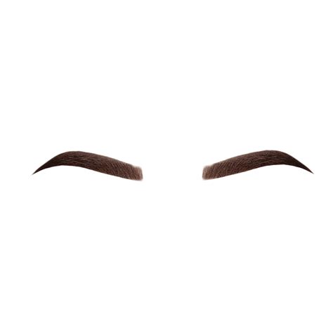 Eyebrows Png Transparent Free Logo Image