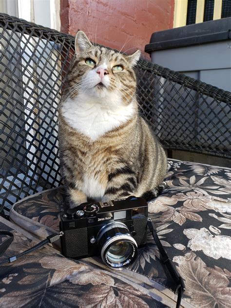 rate my pussy photography setup r analogcirclejerk