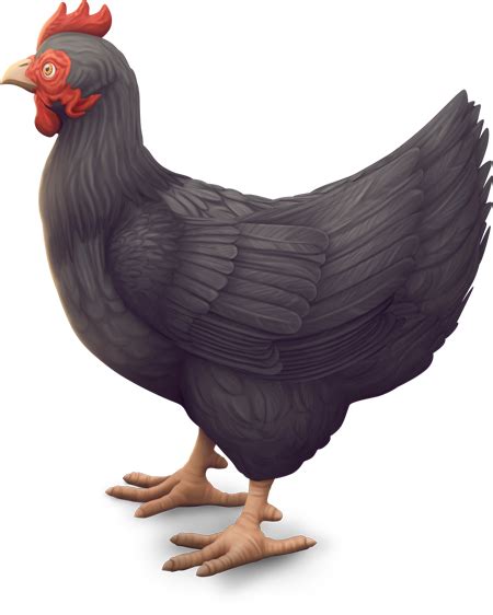 Cottage Living Chicken Render Sims Online