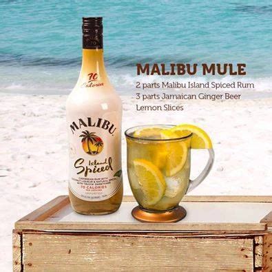 We've always made fun of her for this drink, until we tried it. The Malibu Mule | Rum drinks, Malibu rum drinks, Malibu drinks