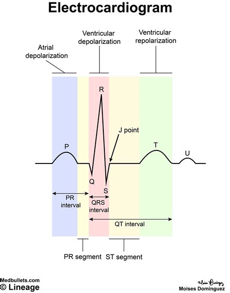 Electrocardiogram Ecg Cardiovascular Medbullets Step 1