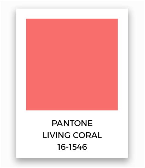 Pantone Living Coral 16 1546 Amsberrys Painting